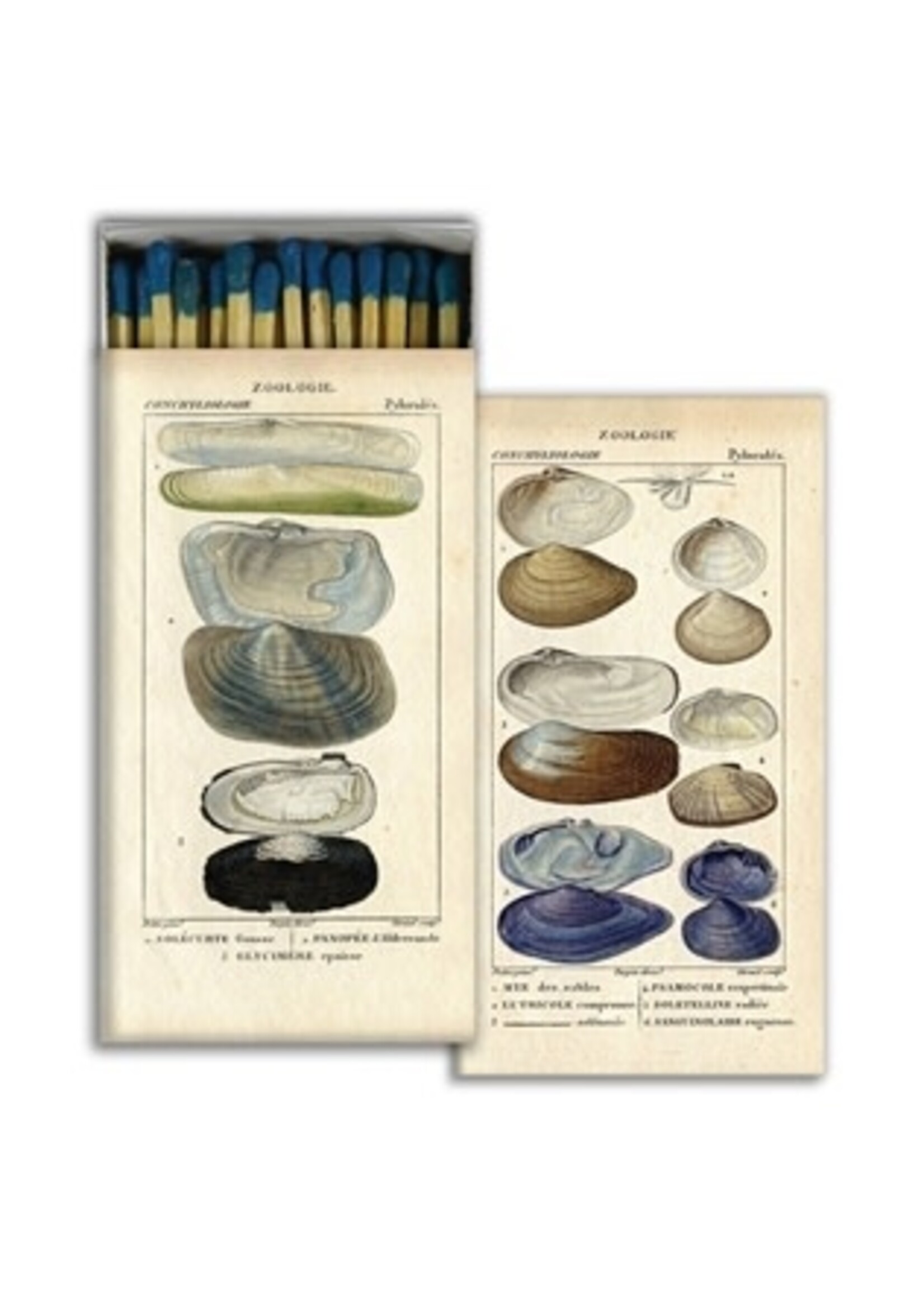 Homart Matches - Seashell Specimens