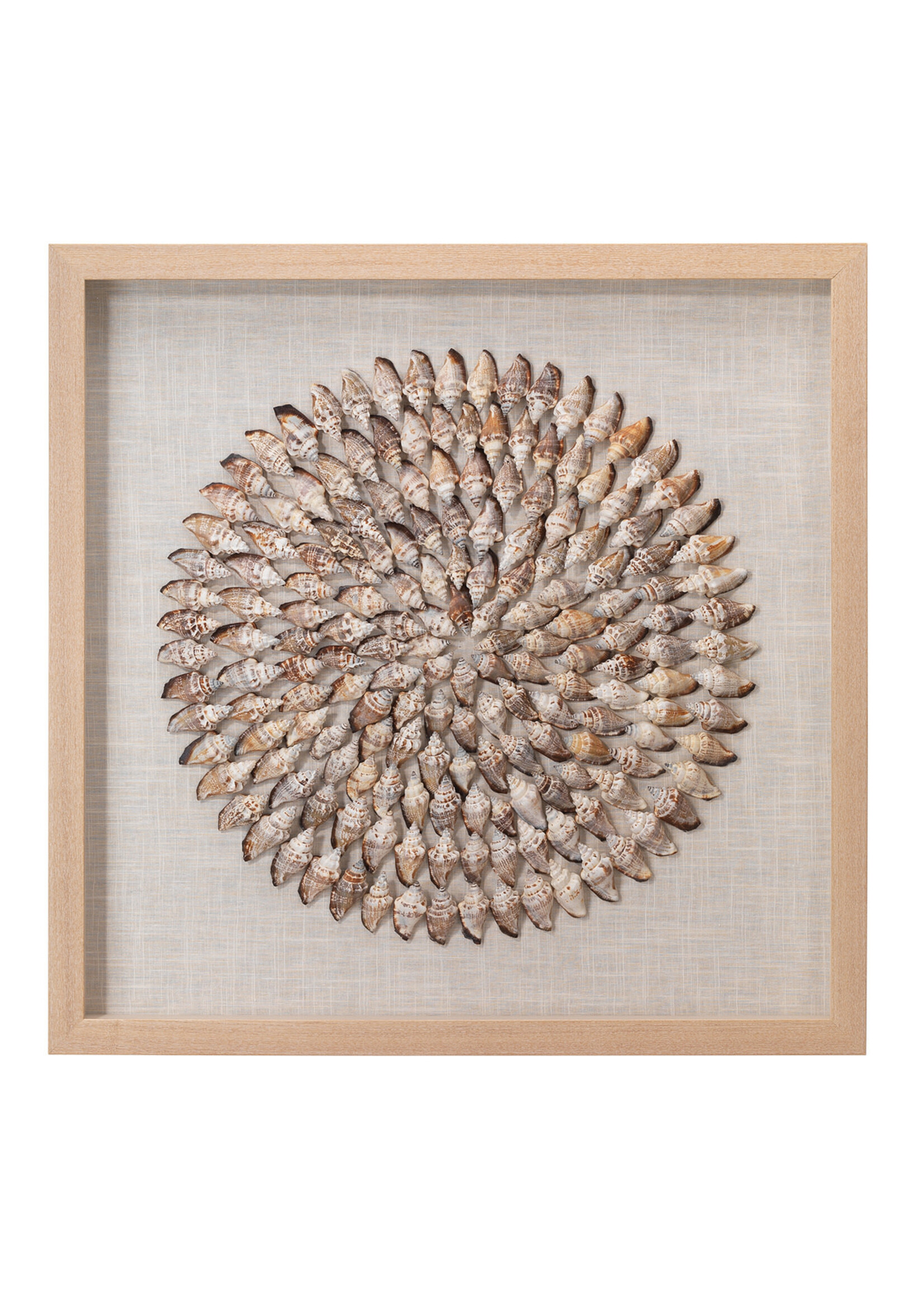 Jamie Young Company, Inc. Riviera Framed Wall Art