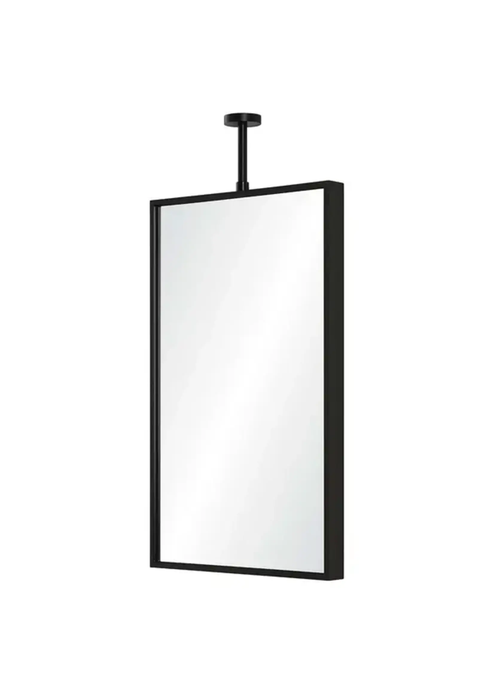 Rectangular Mirror with Adjustable Ceiling Mount