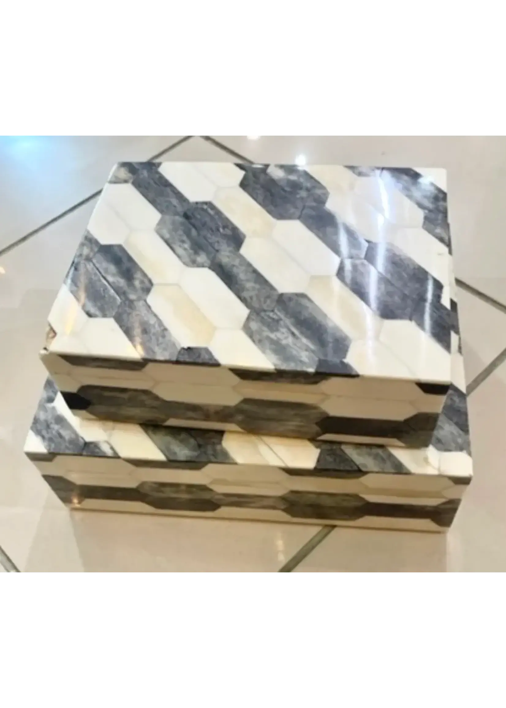 A. Sanoma Inc. HS821 Large Bone Box