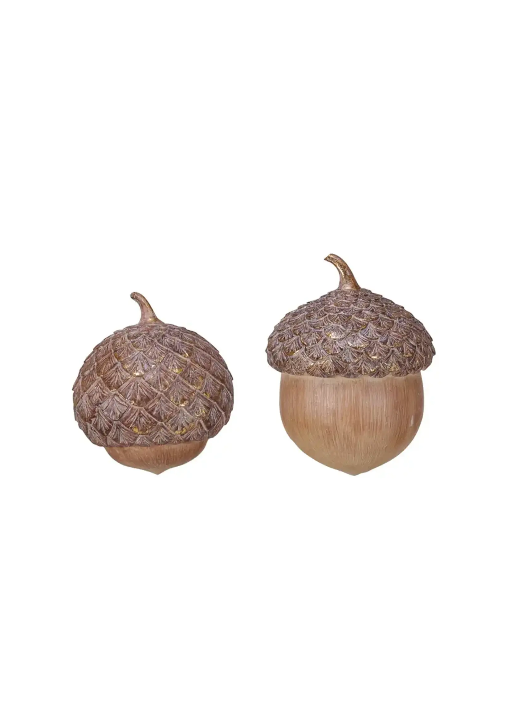 Creative Co-Op Resin Acorn w/ Gold Foil, Brown