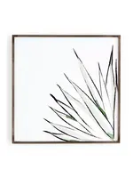 Four Hands Agave Crop by Jess Engle 40x40