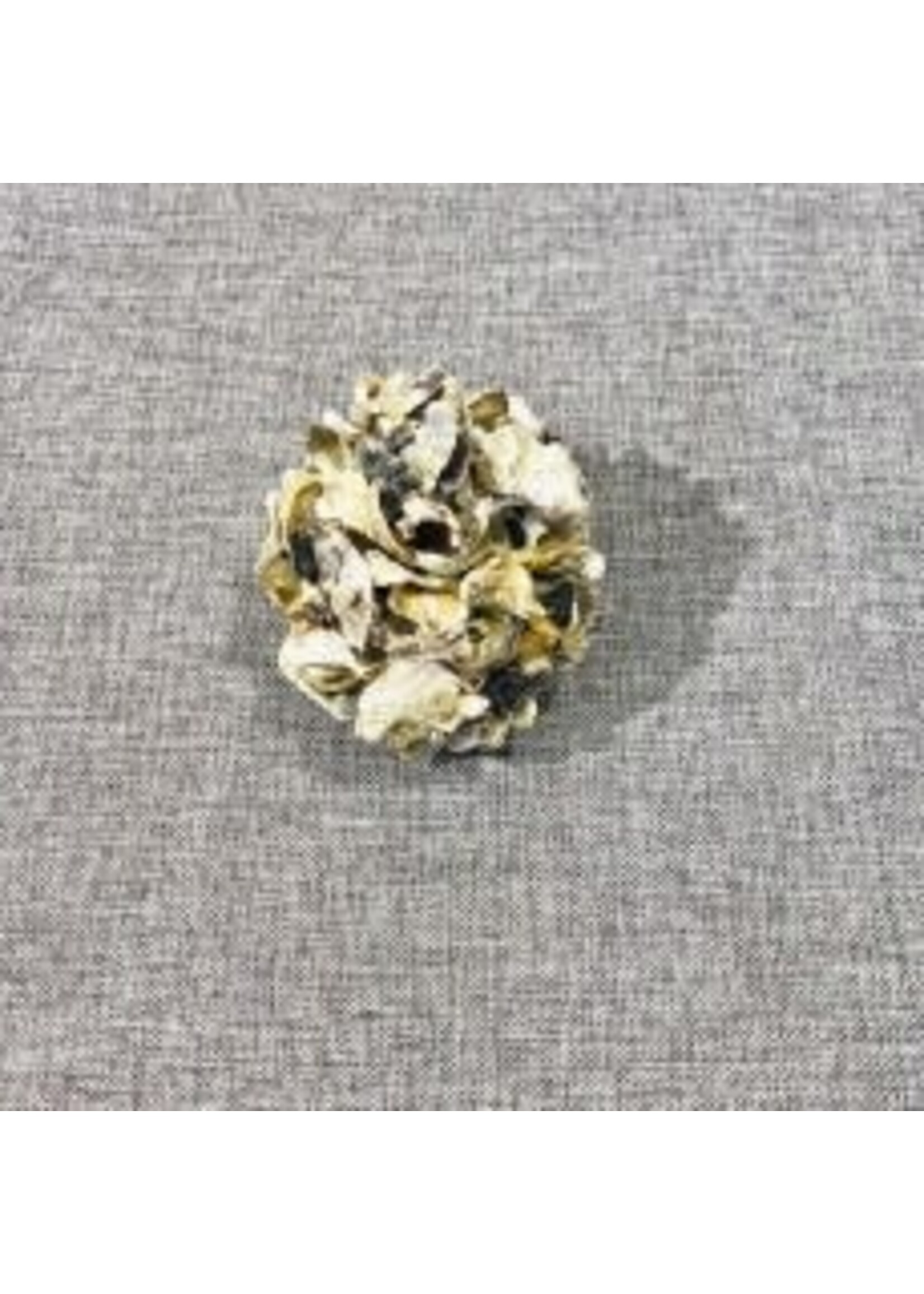 Stetson Seashells Ball - Oyster shell 4" Round
