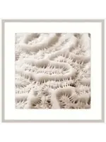 Iconic Pineapple Alabaster Sea Life IV