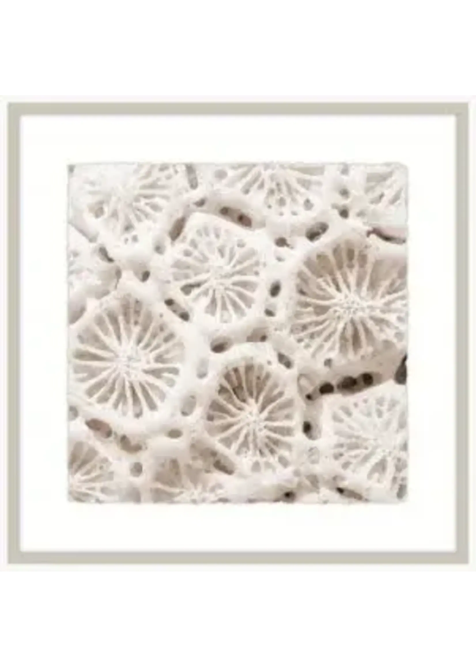 Iconic Pineapple Alabaster Sea Life II