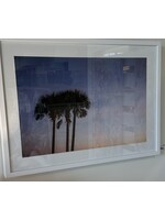 Mallory Williams Photography Palm Trees, Horizontal 16x24