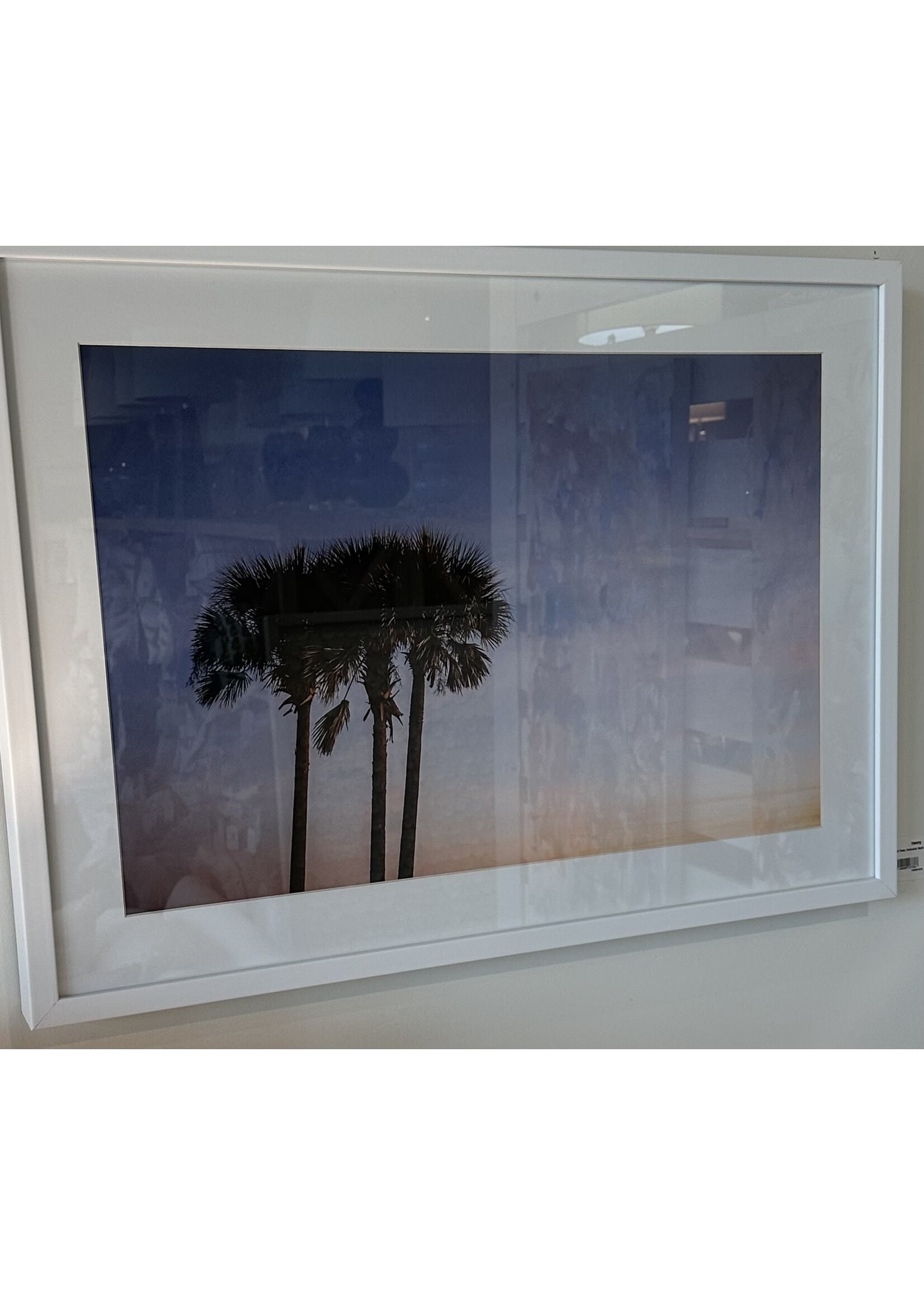 Mallory Williams Photography Palm Trees, Horizontal 16x24