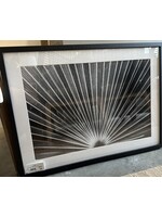 Mallory Williams Photography Palmetto - Black and White 16x24
