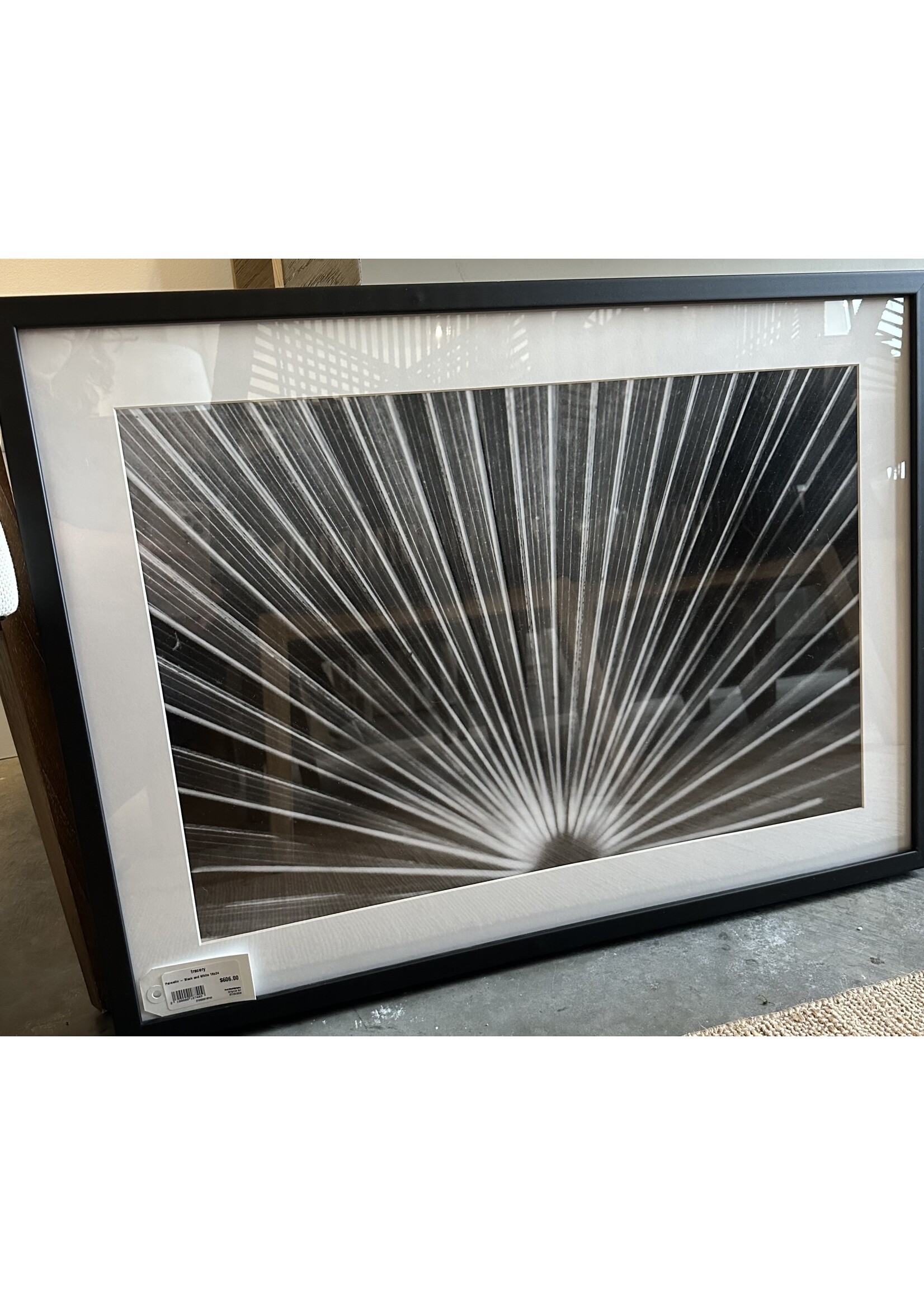 Mallory Williams Photography Palmetto - Black and White 16x24