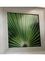 Mallory Williams Photography Palmetto 10x10, White Frame