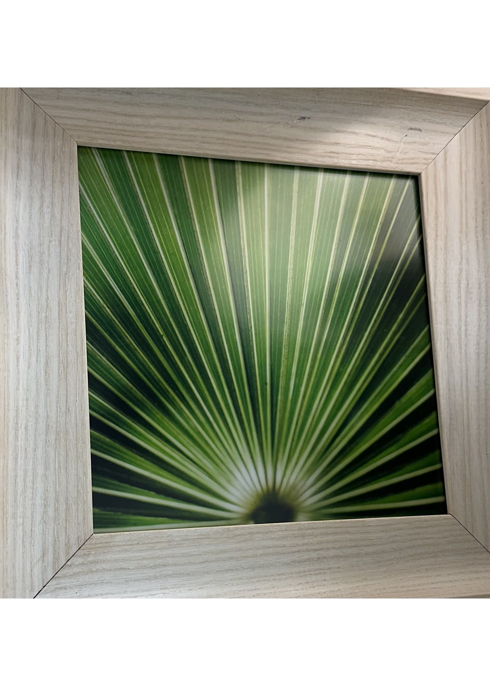 Mallory Williams Photography Palmetto 10x10, White Frame