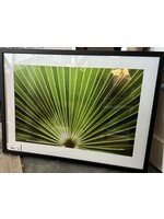 Mallory Williams Photography Palmetto 16x24