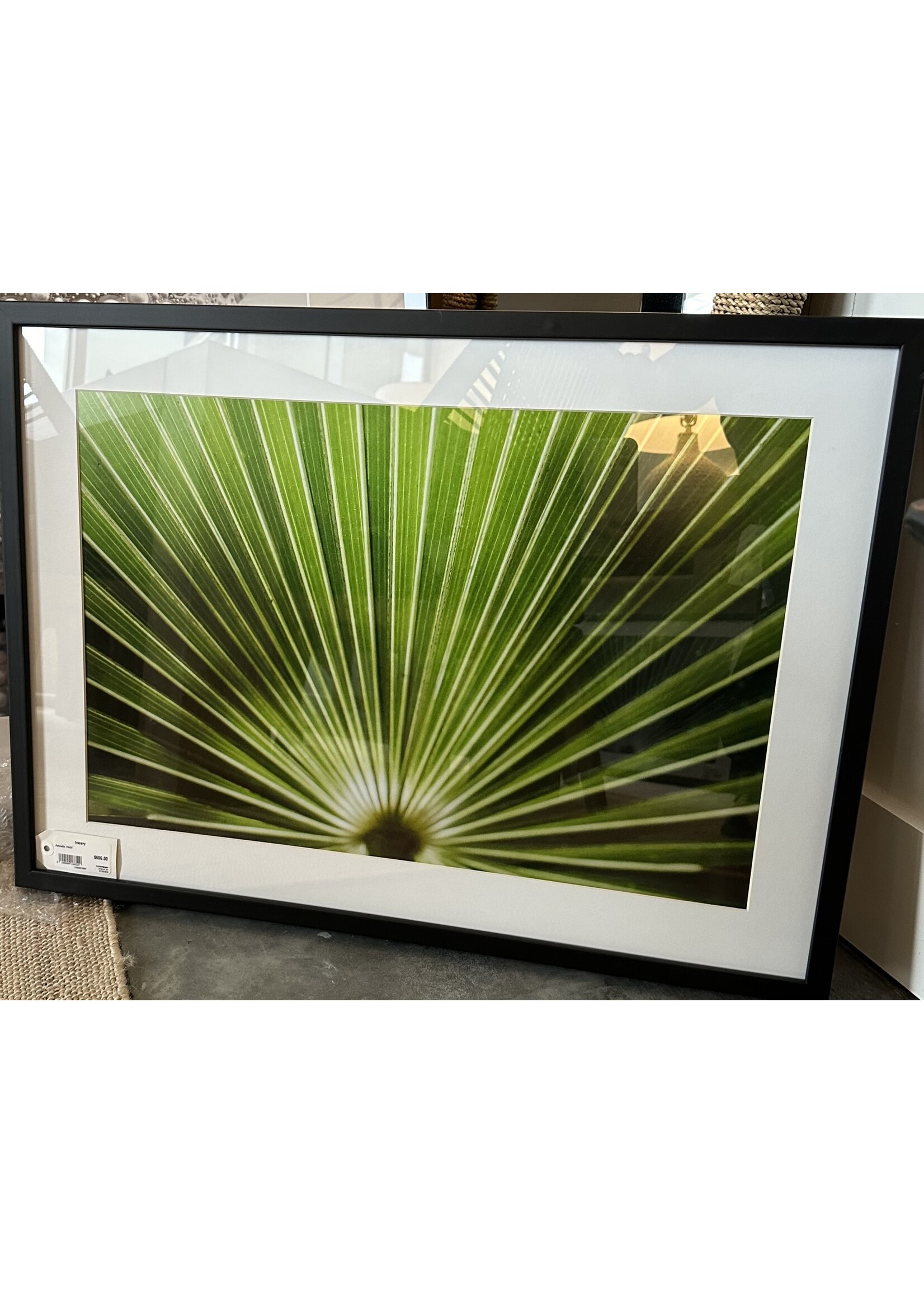 Mallory Williams Photography Palmetto 16x24