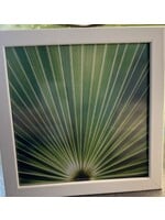 Mallory Williams Photography Palmetto 8x8, White Frame