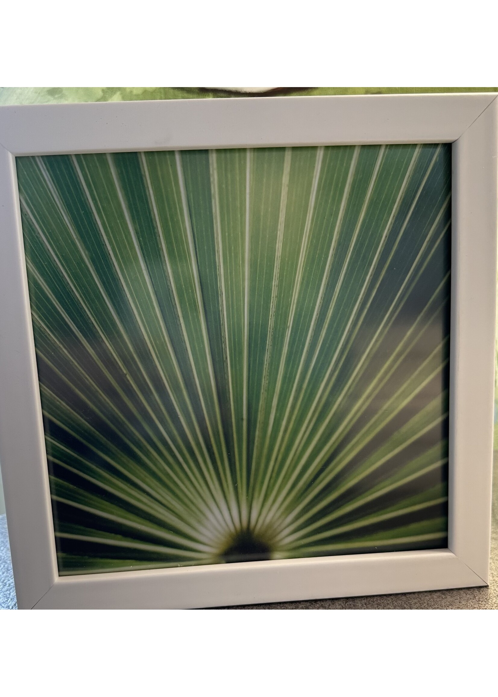 Mallory Williams Photography Palmetto 8x8, White Frame