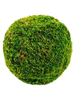 Supermoss 4 inch Decorative Moss Ball (Supermoss)