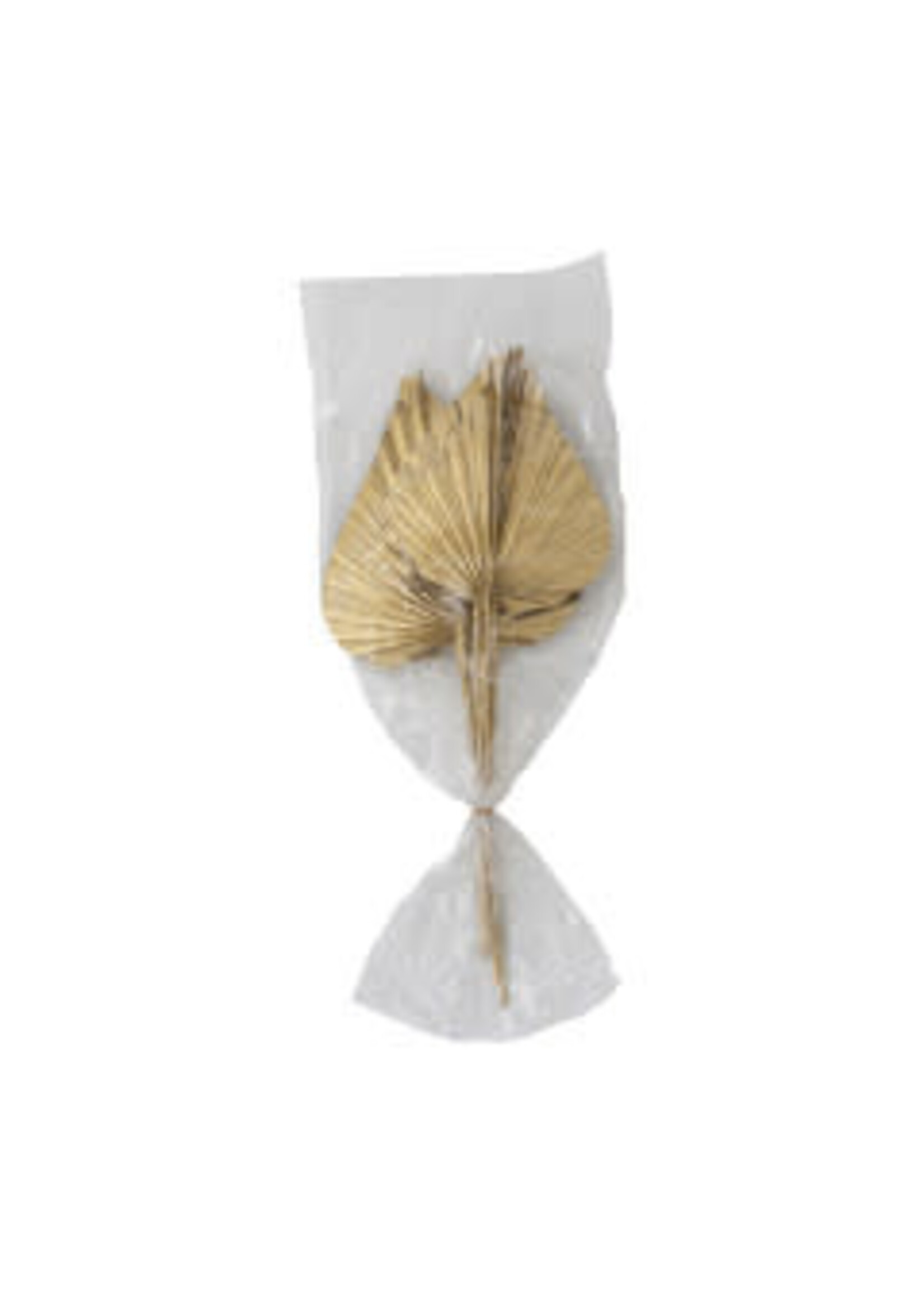 Creative Co-Op 29-1/2"L Dried King Palm Spear Single