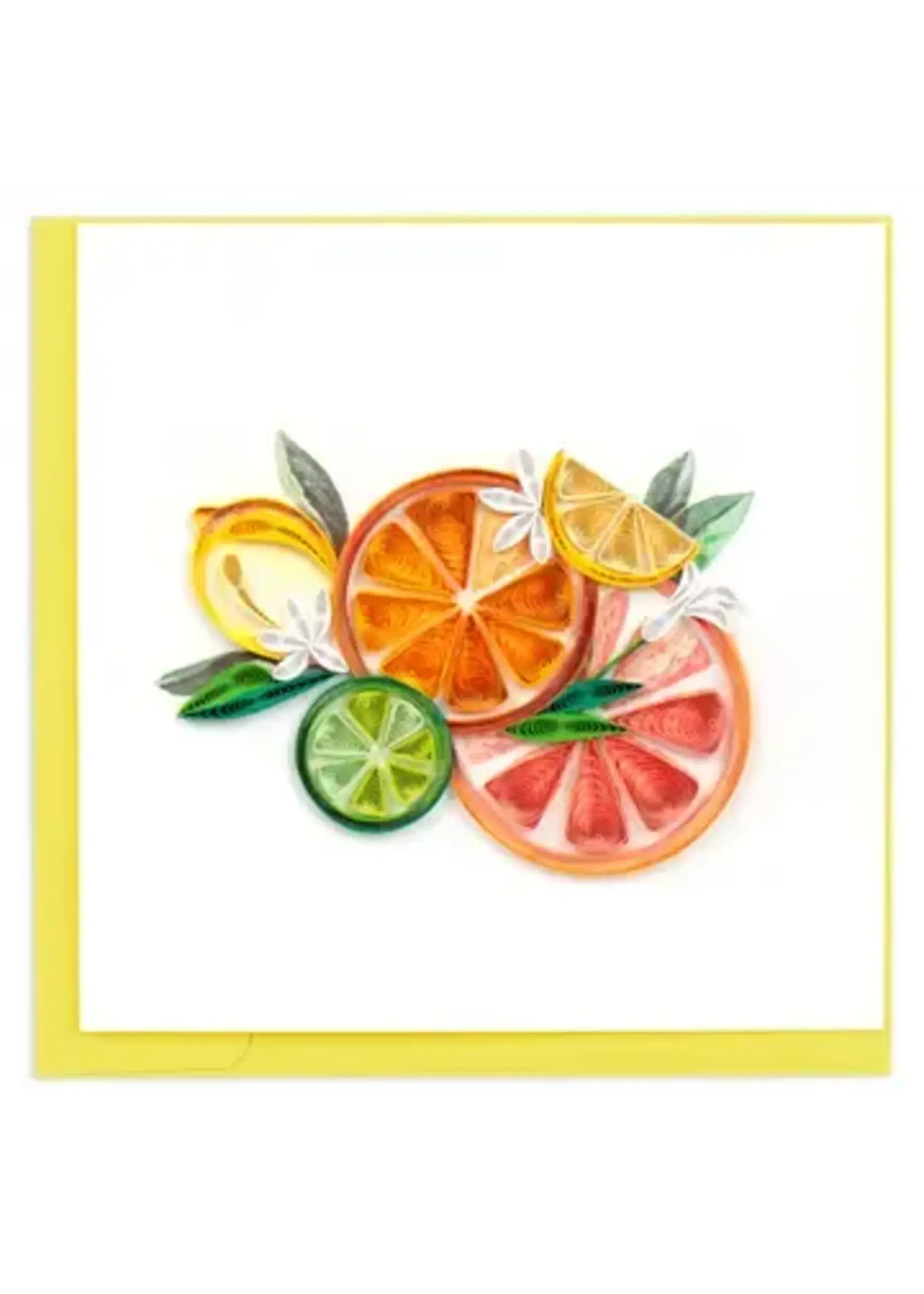 Quilling Cards Quilled Citrus Art Greeting Card
