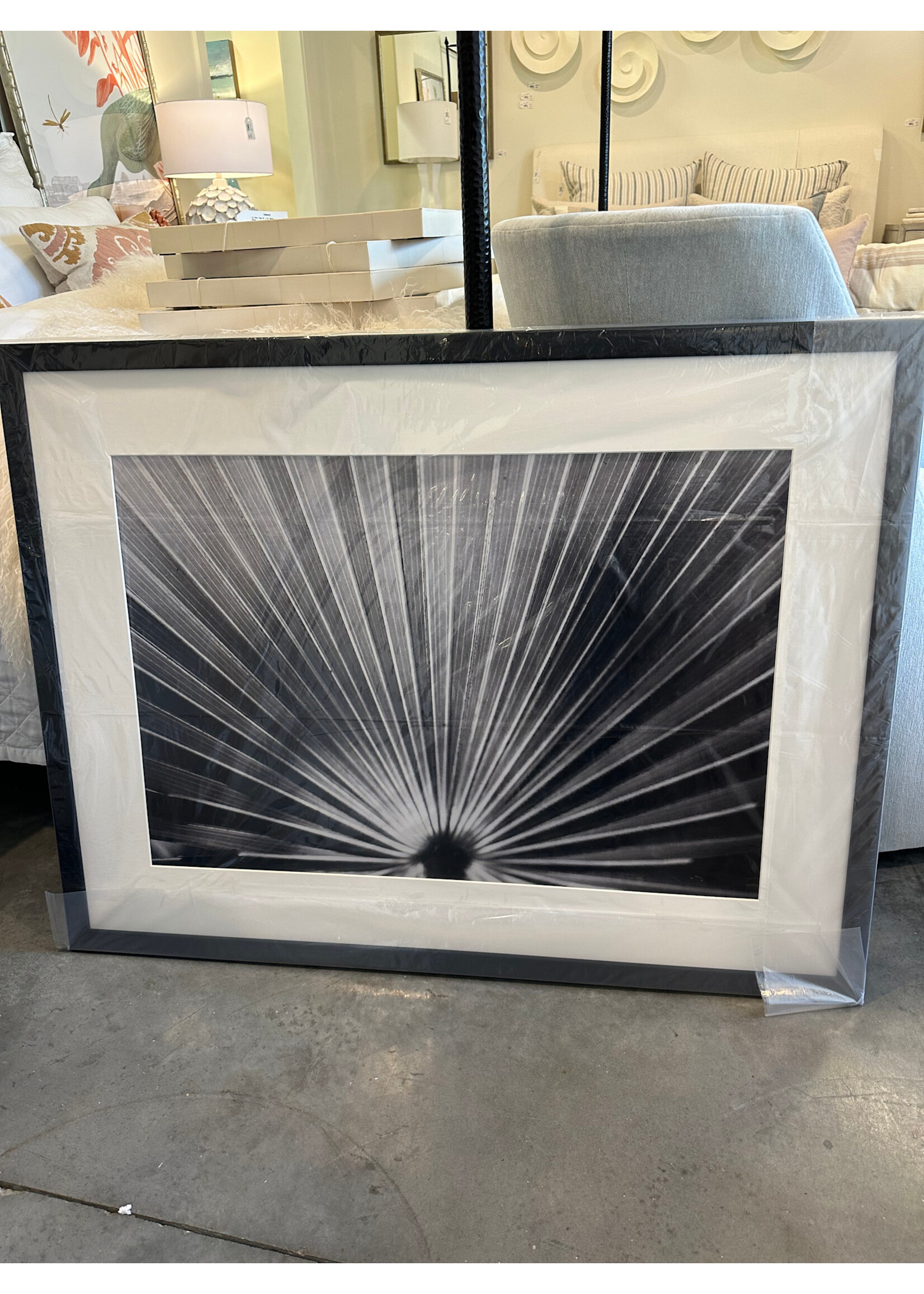 Mallory Williams Photography Large Palmetto - Black and White 32x42