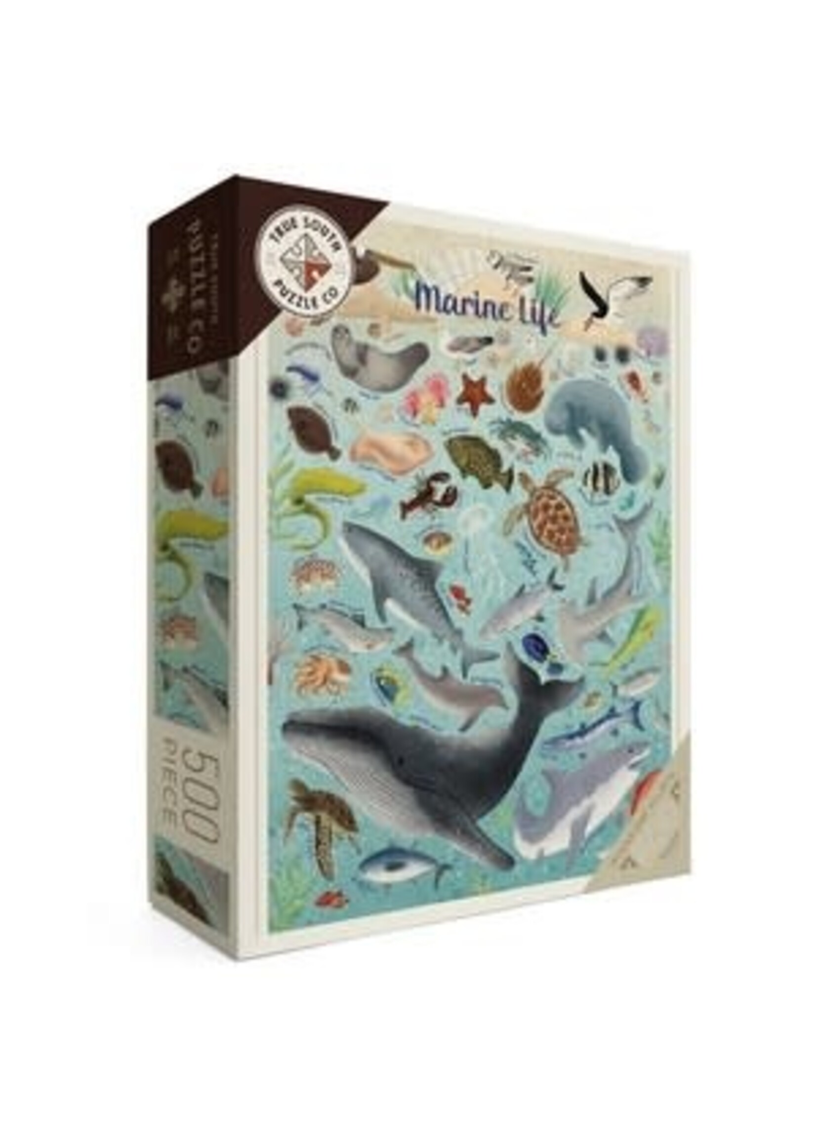 Marine Life Puzzle