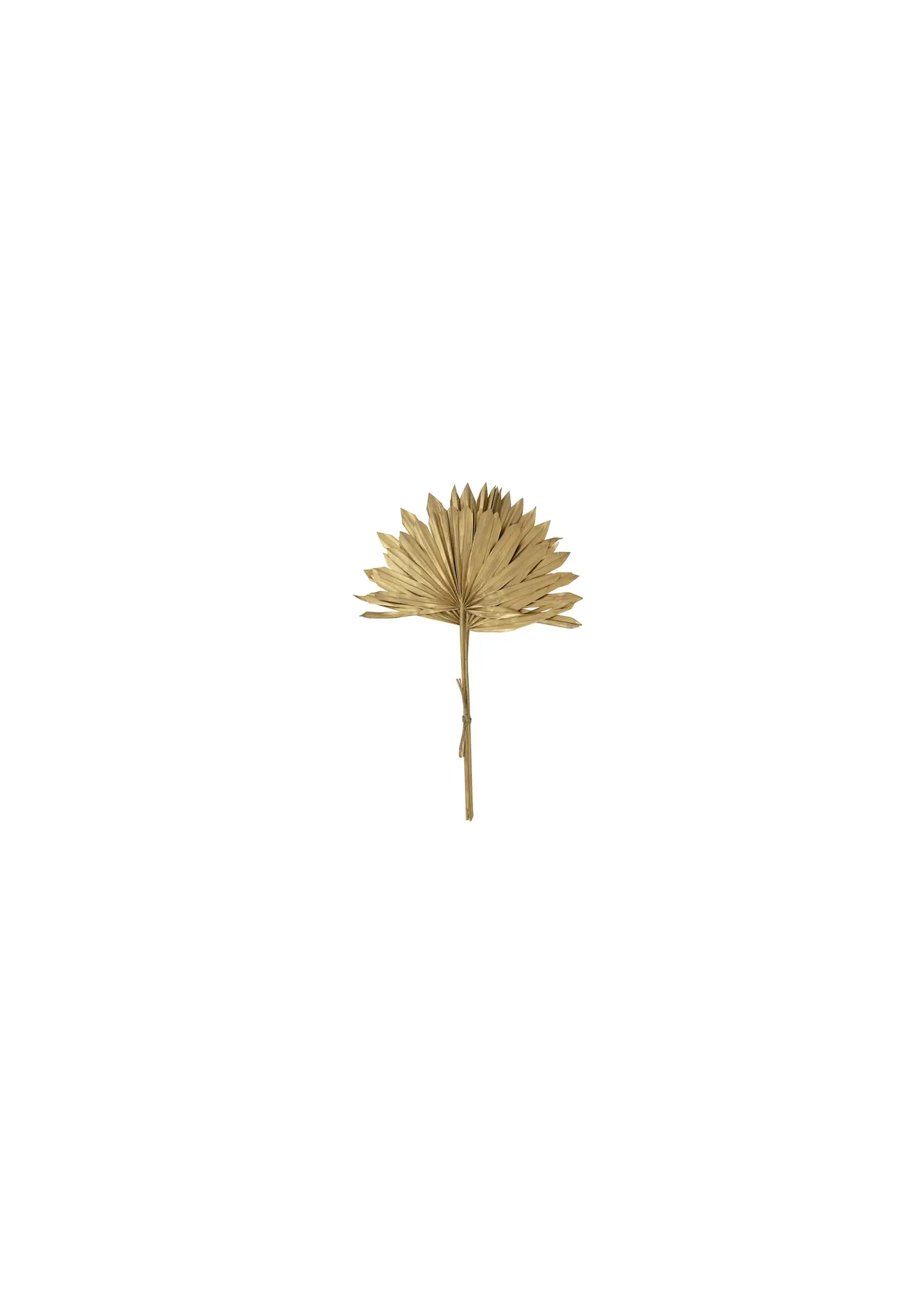Creative Co-Op 18"H Dried Palm Sun Single