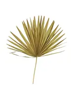 Creative Co-Op 29"L Dried Palm Leaf Single, Green
