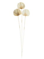 UMA Enterprises Brown Dried Plant Palm Leaf Tall, Single