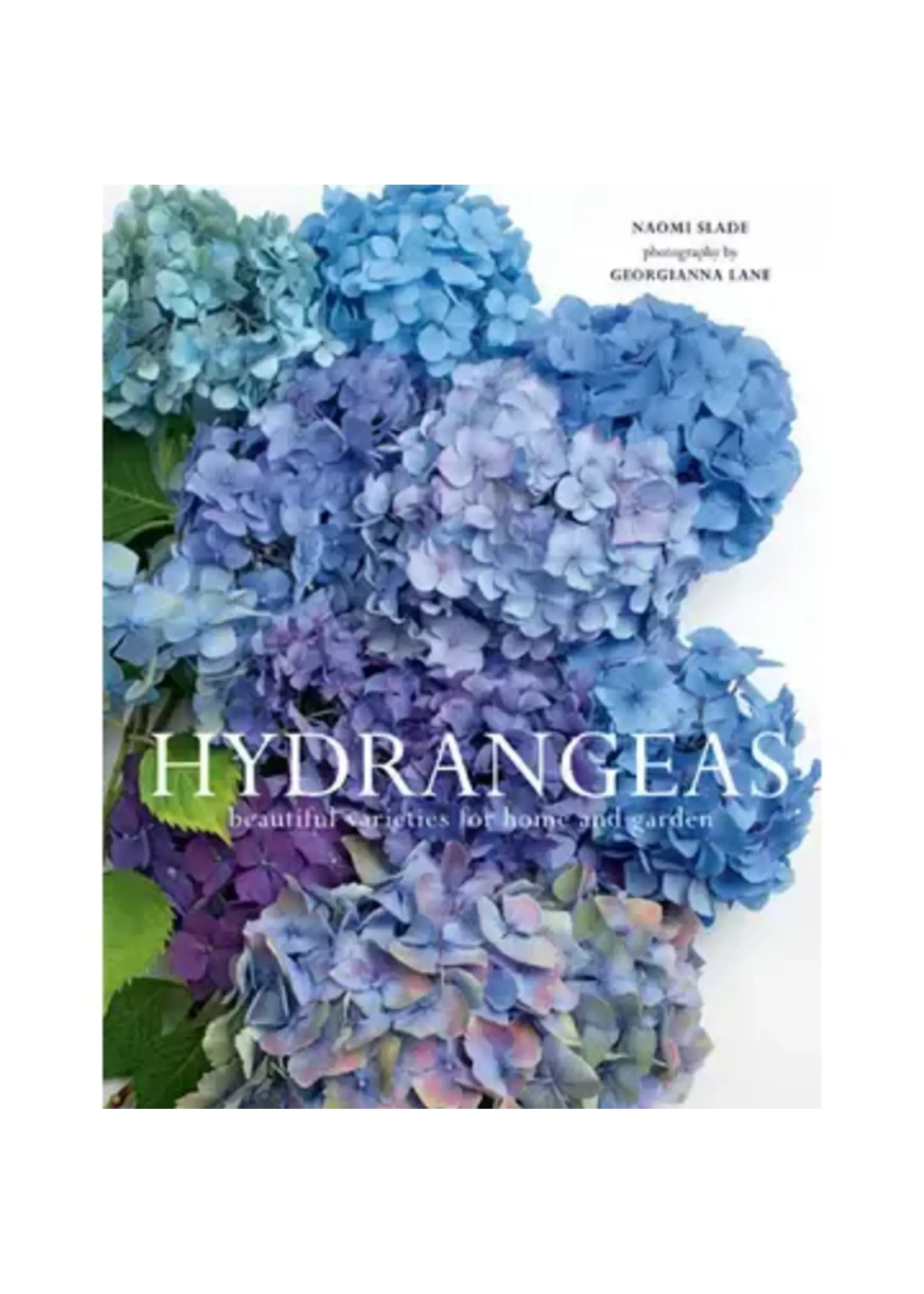 Gibbs Smith Hydrangeas: Beautiful Varieties For Home & Garden