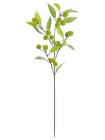 Select Artificials Chestnut & Foliage Spray 40",PE, Green