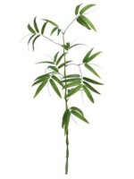 Select Artificials Bamboo Spray 43", Green