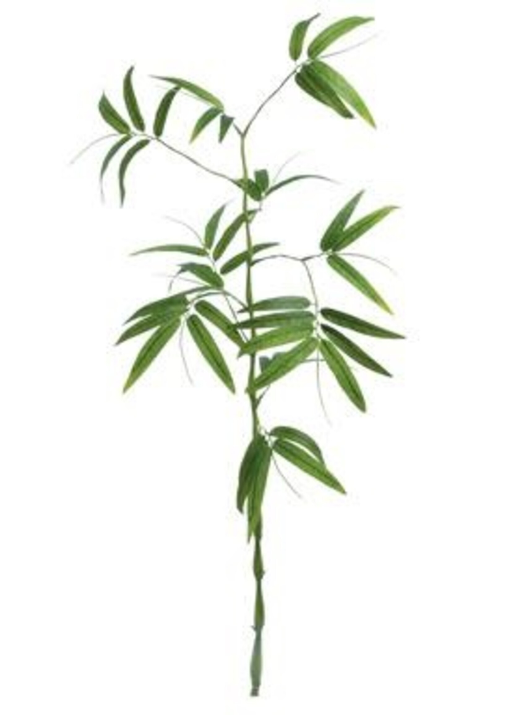Select Artificials Bamboo Spray 43", Green