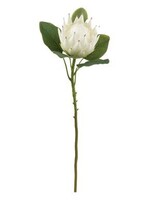 Select Artificials Lg King Protea Spray 26", White