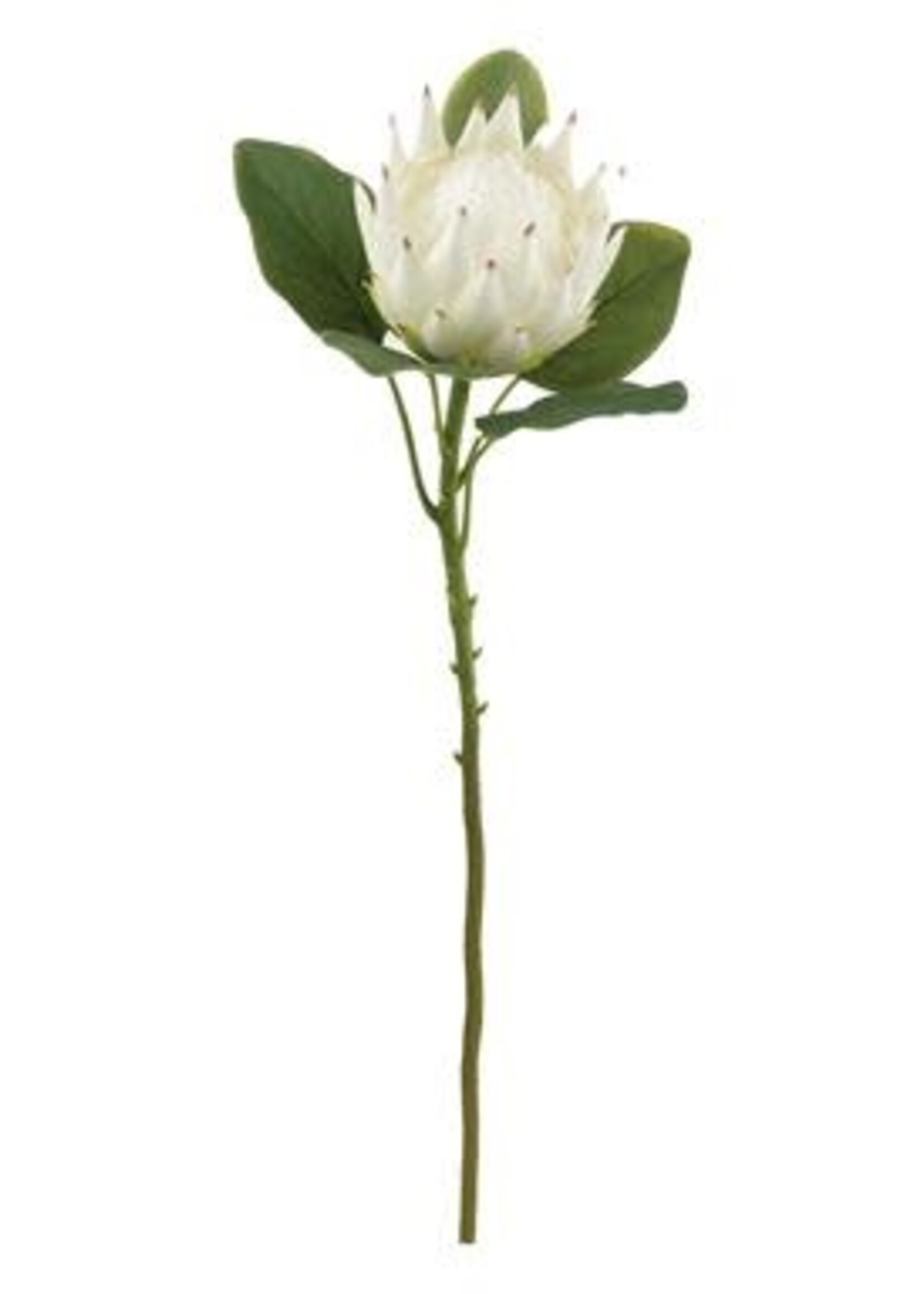 Select Artificials Lg King Protea Spray 26", White