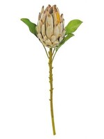 Select Artificials King Protea Spray 22", Brown
