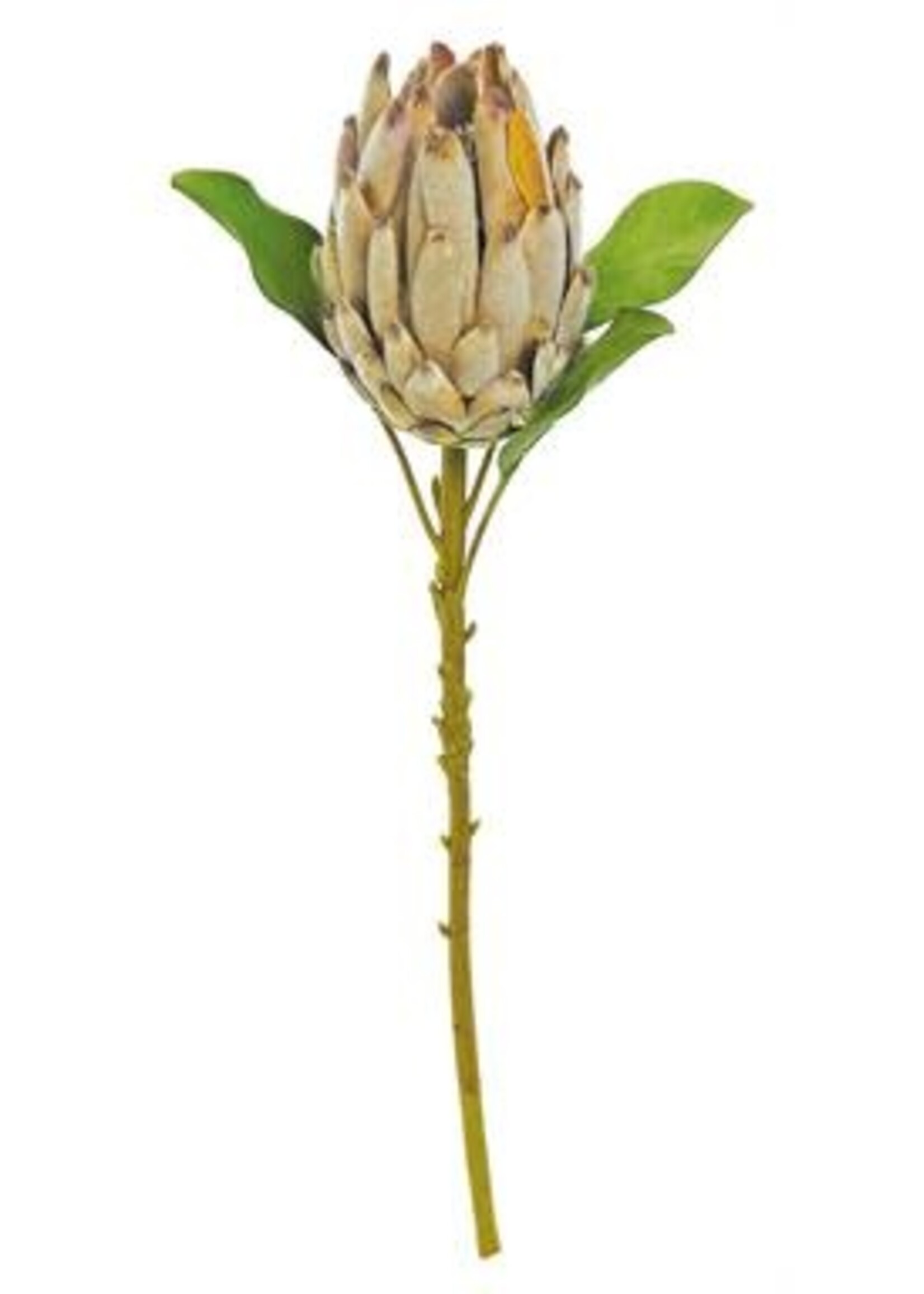 Select Artificials King Protea Spray 22", Brown