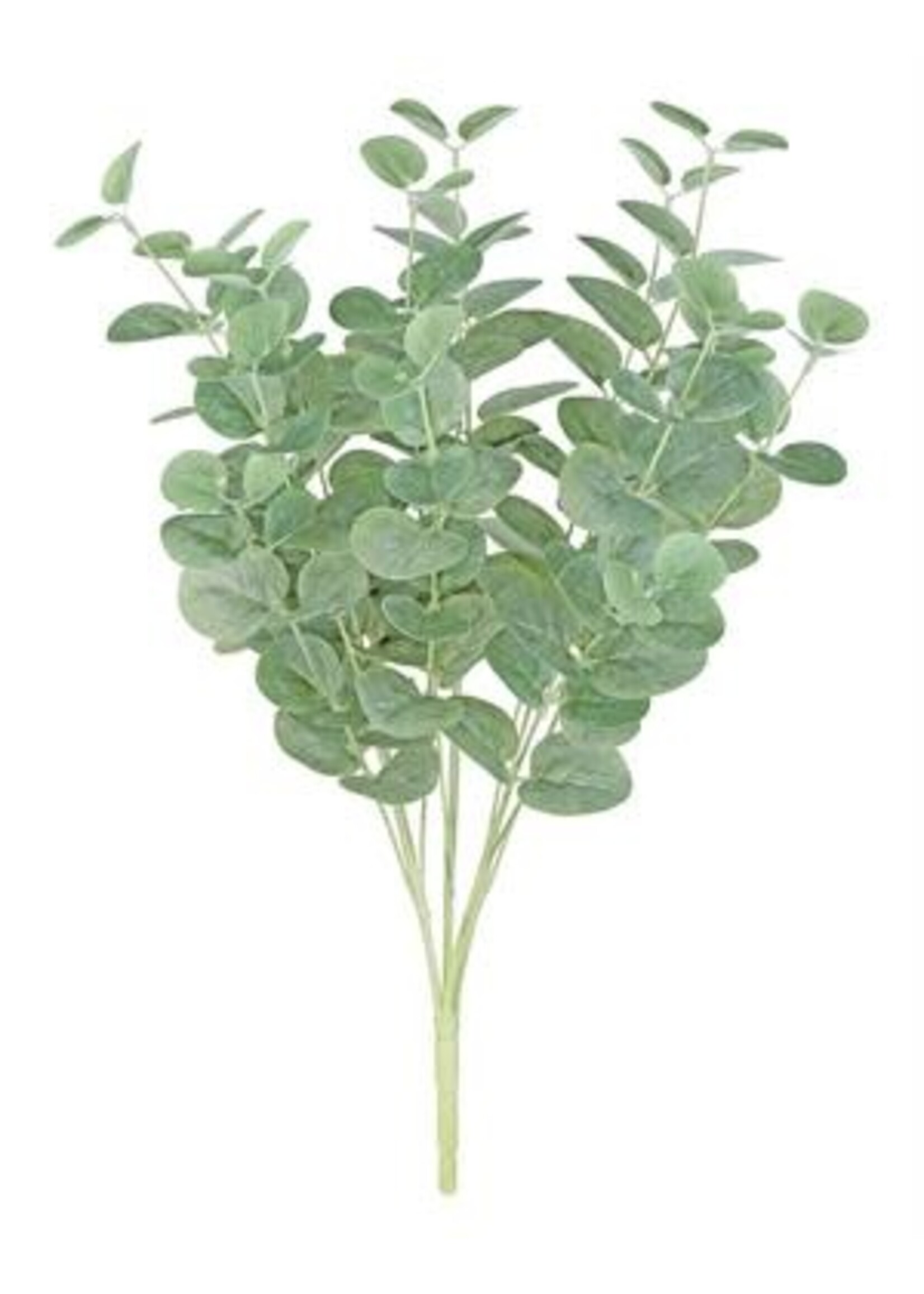 Select Artificials Eucalyptus Bush 19.5", Frosted Green