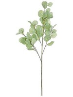 Select Artificials Silver Dollar Eucalyptus Spray 34", Sage