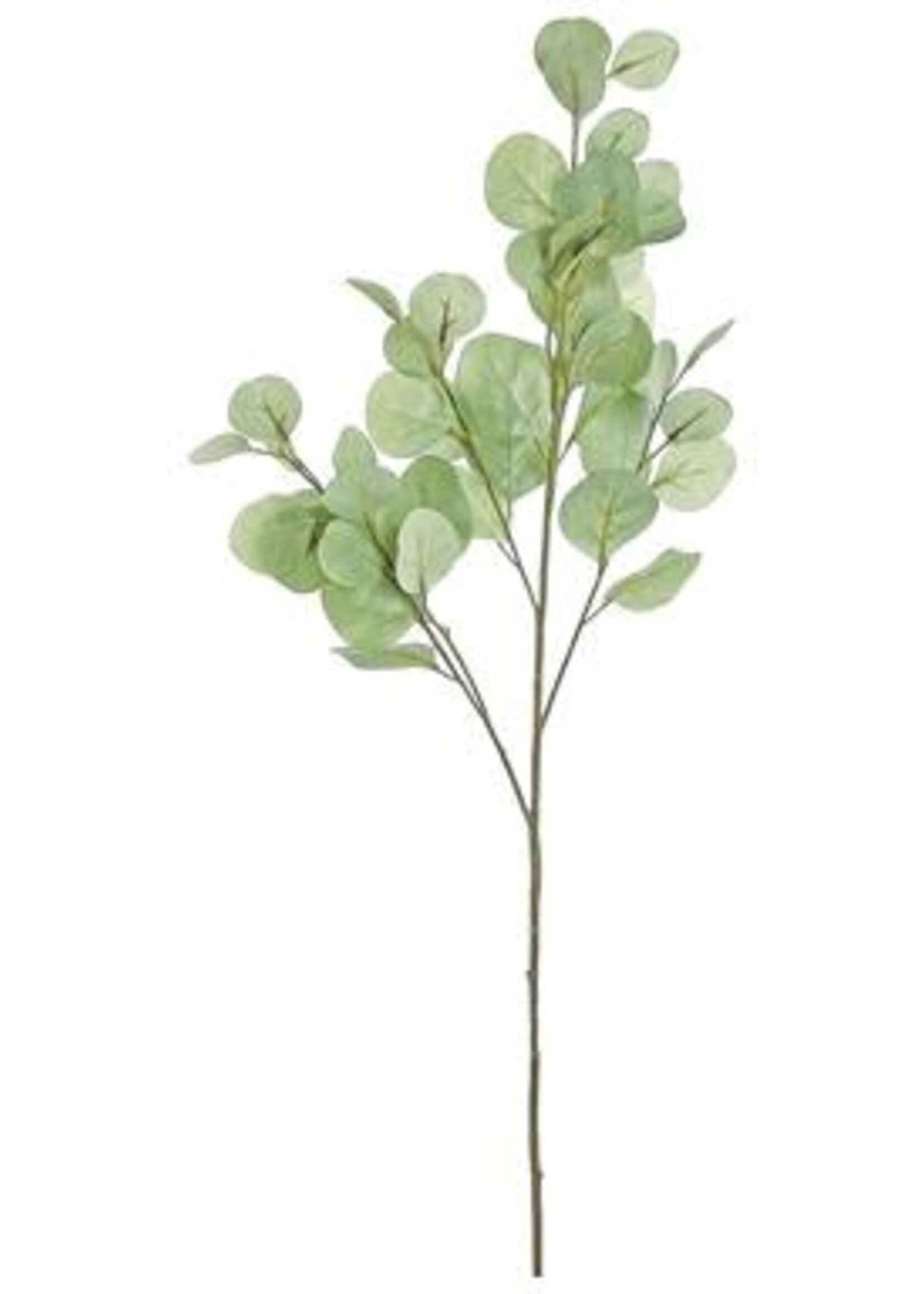 Select Artificials Silver Dollar Eucalyptus Spray 34", Sage