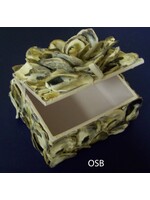 Stetson Seashells Oyster Shell Hinged Box 6.5"x5"x4"