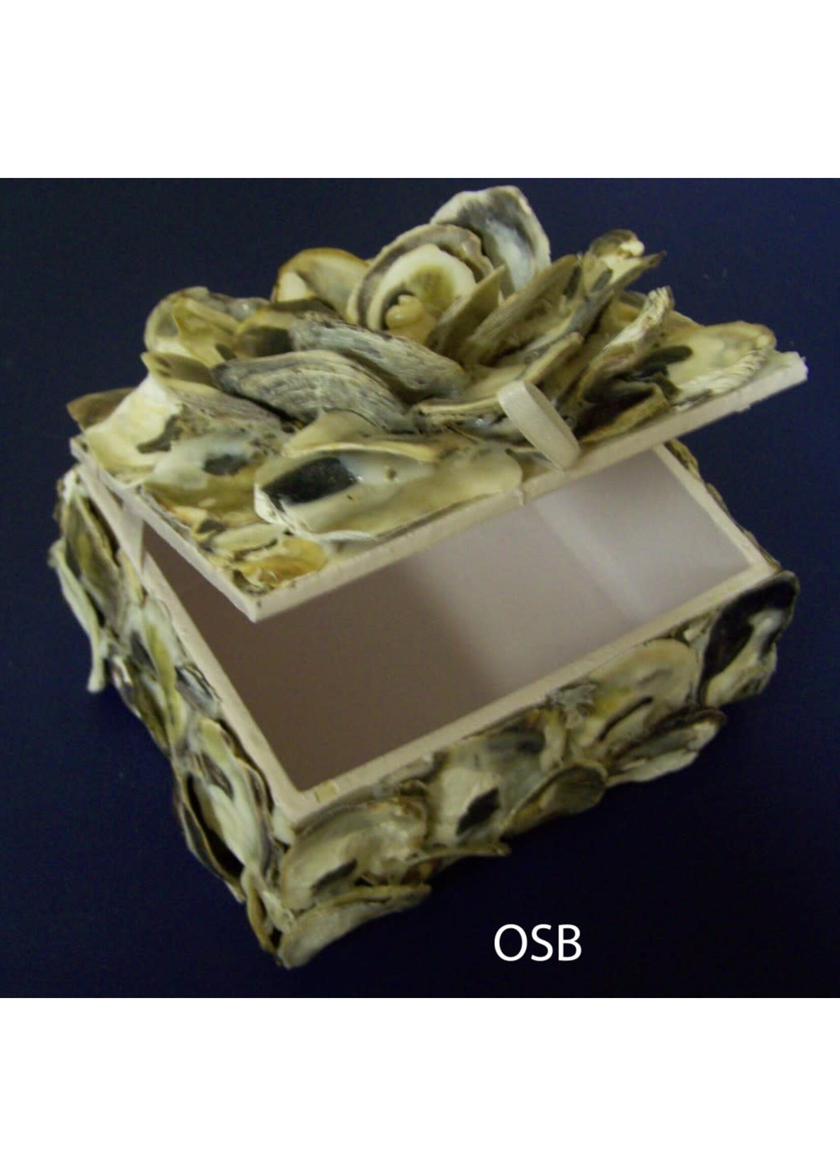 Stetson Seashells Oyster Shell Hinged Box 6.5"x5"x4"