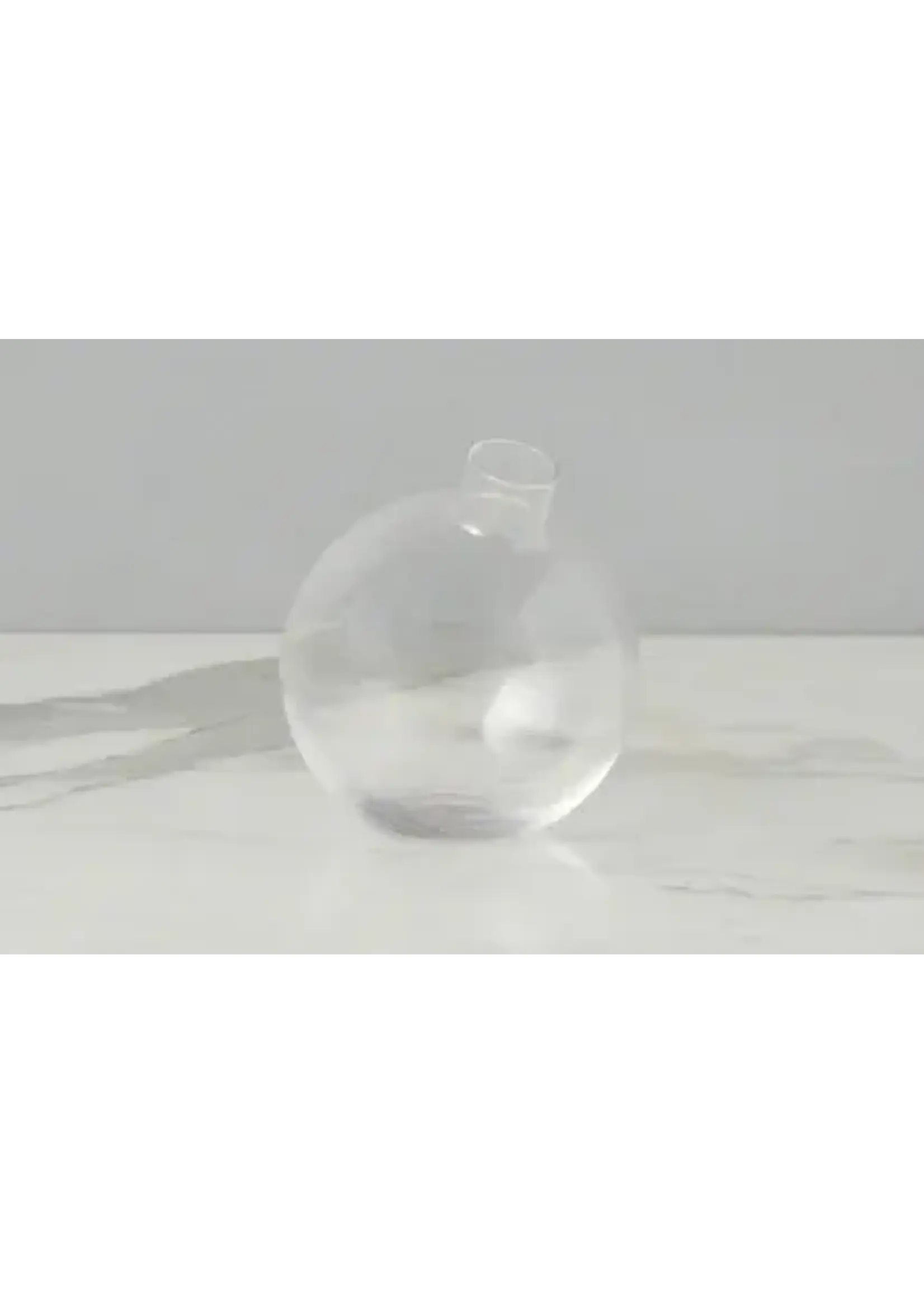 Europe2You (etu Home ) Glass Sphere Bud Vase, Clear