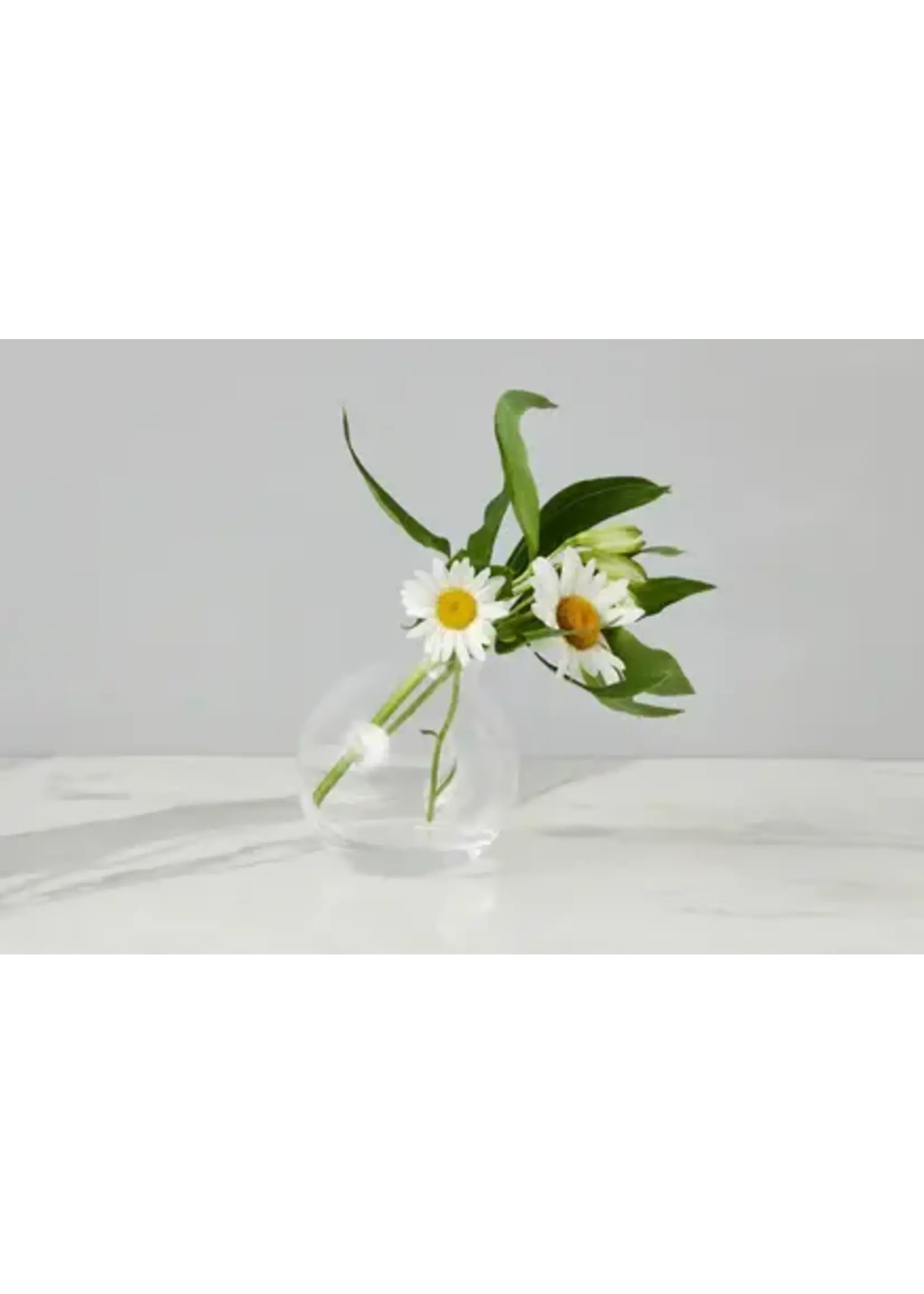 Europe2You (etu Home ) Glass Sphere Bud Vase, Clear