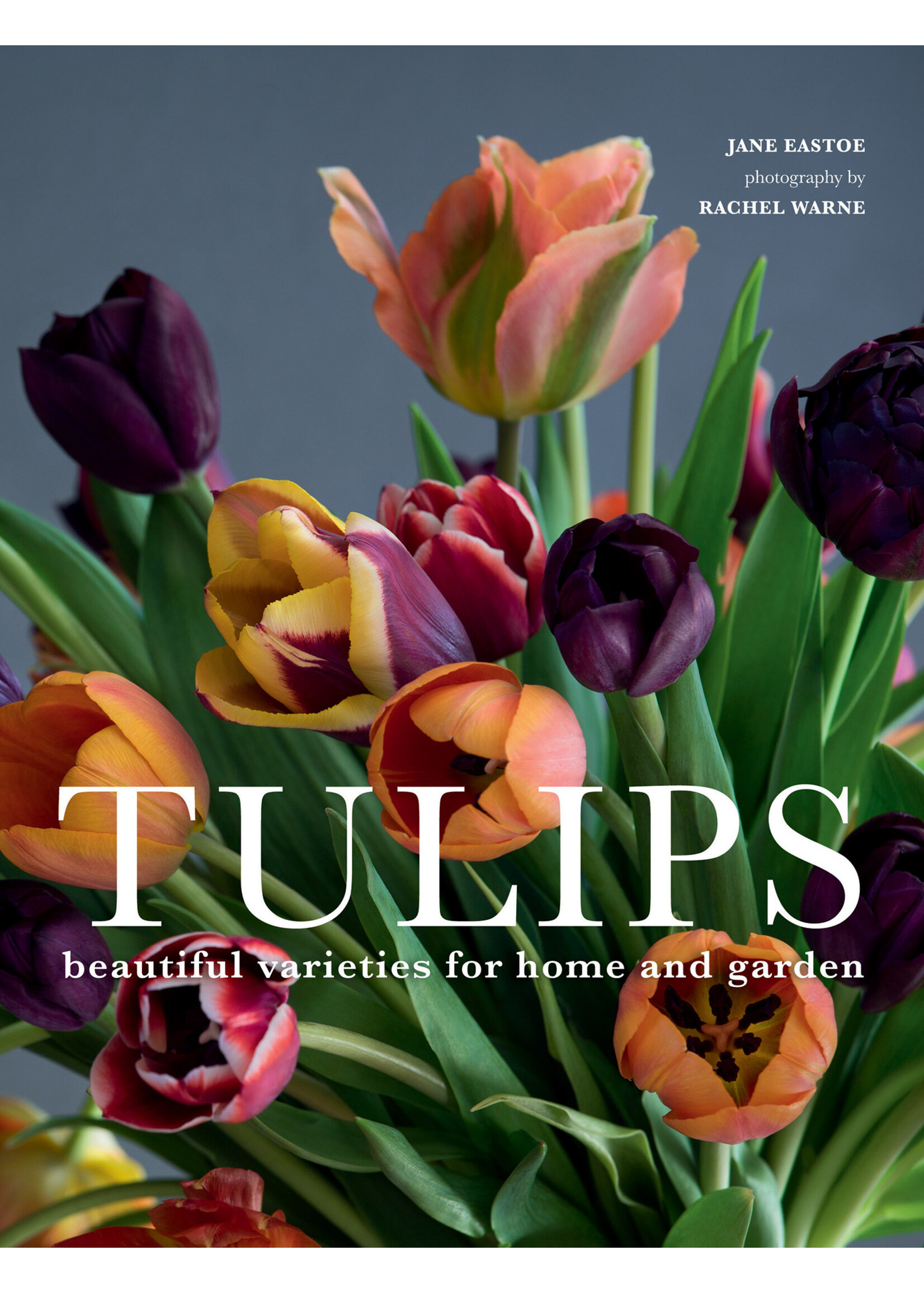 Simon & Schuster Tulips