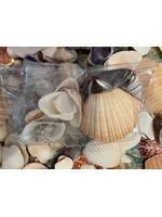 Pam Sumblin Shell Bag