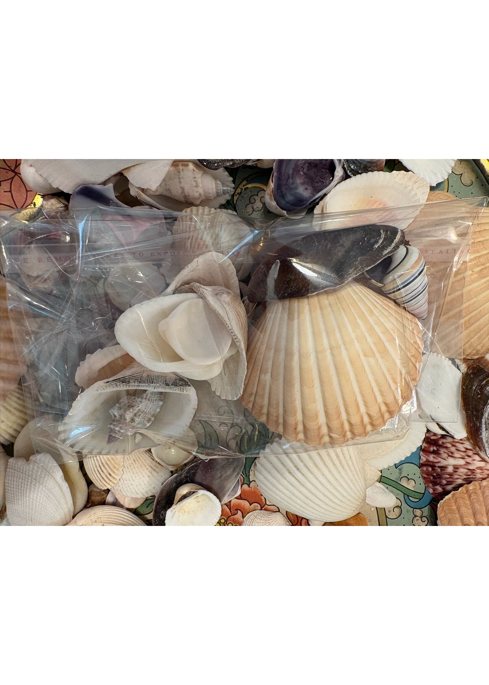 Pam Sumblin Shell Bag