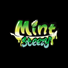 MR FOG MINT STEEZY E-LIQUID