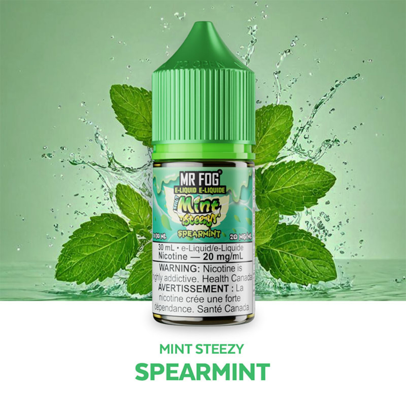 MR FOG MFEMS02 - MR FOG Mint Steezy E-Liquid Spearmint 30ML Salt