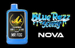 MR FOG BLUE RAZZ STEEZY