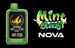 MR FOG NOVA Mint Steezy