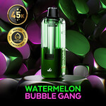 MR FOG SWPD02 - MR FOG SWITCH POD PODS Watermelon Bubble Gang(5pcs/pack)